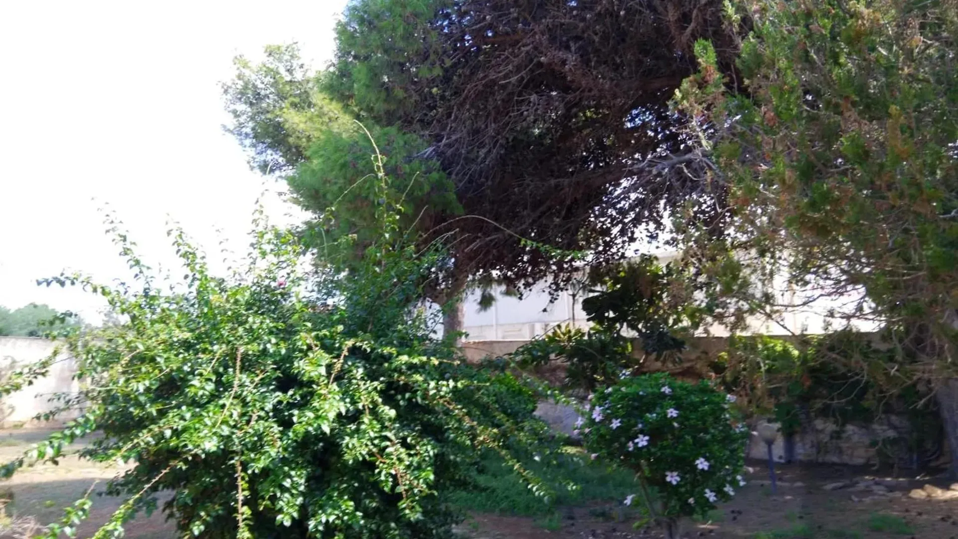 Vila Charming House In Marsala With Private Garden